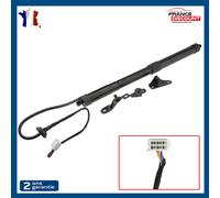 Cilindro Cofano Motorizzato Posteriore Sinistra per Toyota Rav 4 IV - 6892009010