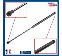 Cilindro Cofano Pinze per Peugeot 207 (2006-2014) 1615076680 8731L7