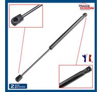 Cilindro Cofano Portellone Posteriore Pinze per Citroën C3 I (2002-2011) -