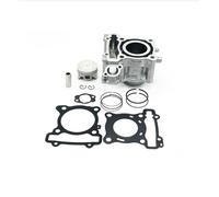 CILINDRO COMPLETO 125CC HERT FANTIC MOTOR XEF PERFORMANCE 125 2021 2024