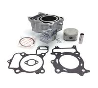Hert Honda Sh 300 Cylinder Argento