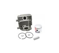 Cilindro completo per irroratore Efco IS 2026 - 61070072A