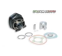 CILINDRO D.47 IN GHISA H2O MALOSSI BENELLI 491 SPORT 50 2T LC (MINARELLI) 318283