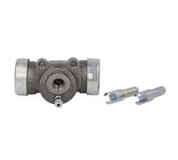 Cilindro del freno TRW BWH110