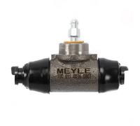 Cilindretto freno Assale posteriore Ghisa grigia 100 611 0036 MEYLE per AUDI VW