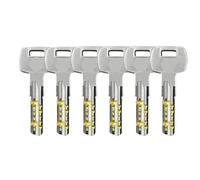 Cilindro della serratura a doppia frizione: le chiavi possono essere usate contemporaneamente su entrambe le estremità. Ho dimenticato di rimuovere la chiave.(65MM,E)