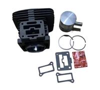 Cilindro dello spazzaneve con fascia elastica adatto for il gruppo EB8000 EB8001