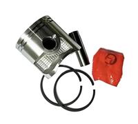 Cilindro dello spazzaneve con fascia elastica adatto for il gruppo EB8000 EB8001