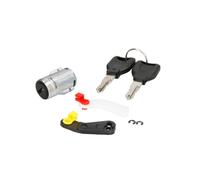 Cilindro di chiusura, serratura della porta PACOL RVI-DR-001