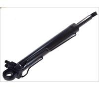Cilindro di inclinazione, cabina di guida AKUSAN TEQ-03.046 per P I 8.867 2004-