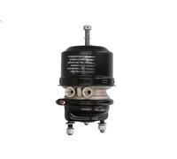 Cilindro di pretensionamento DT SPARE PARTS 4.65572