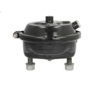 Cilindro di pretensionamento DT SPARE PARTS 5.70305 DAF XF 95 12.58 2002-2006