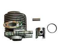 Cilindro e Pistone Decespugliatore Echo BP35, C35-Rif.70196-12110-Adattabile