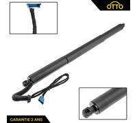 Cilindro Elettrico Cofano Ard Passeggero Per BMW X3 (2010-2017) - 51247432742