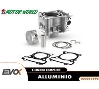 CILINDRO EVOK COMPLETO YAMAHA CZD 300 A X-MAX ABS 2019-2020
