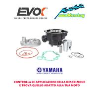Evok Minarelli Am6 D.40.3 49.9cc Oem 100081111 Cylinder Kit Argento