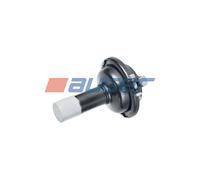 AUGER 21168 Cilindro freno a membrana