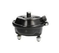 Cilindro freno a membrana DT Spare Parts 4.65549