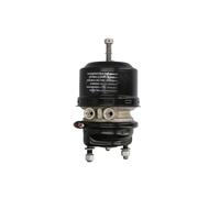 Cilindro freno a membrana DT Spare Parts 4.65572