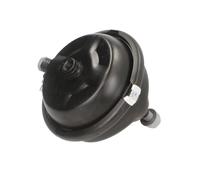 Cilindro freno ruota DT Spare Parts 4.64517