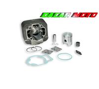 CILINDRO ghisa PIAGGIO SFERA DERBI VARIANT Sport 50 2T MALOSSI 318519