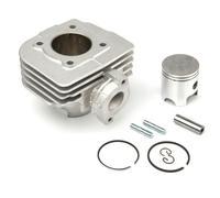 Cilindro In Alluminio AIRSAL (02050646) Per Moto Ricambi Accessori Parti