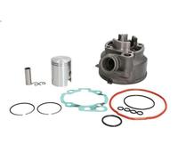 Cilindro inglese INPARTS IP000109 per Rieju RR 0.1 1997-1997