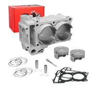 Cilindro Malossi Yamaha TMax 530 dal 2012 al 2019 Modifica a 560 cc DM 70 MF0401