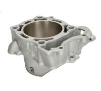 Cilindro motore CYLINDER WORKS 21010-1