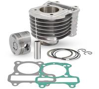 CILINDRO MOTORE EVOK PER SCOOTER HONDA VISION 110CC 4T 2V E3 NSC 110 MPD