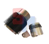 CILINDRO PISTONE COMPLETO CAMERA DECENTRALE MOTORE RUGGERINI RD210 DIAMETRO 90mm