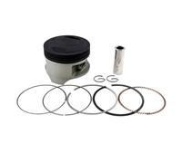Cilindro Pistone Kit Per Suzuki DR200 42A DF200 VAN 200 SP200 DR200SE RV200 VanVan Alesaggio STD- + 100 66mm ~ 67mm Pistone Pin Anelli Clip Kit(66.5mm (Oversize50))