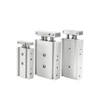 Cilindro pneumatico a doppia asta Cilindro pneumatico TR16 TR20 TR25 TR32 Corsa 10-200 mm con magnete(Stroke 70mm Magnetic,TR32 (Bore 32mm))