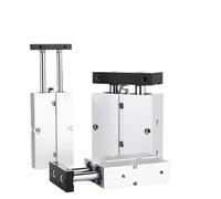 Cilindro pneumatico a doppio stelo in lega di alluminio di piccole dimensioni serie TN Alesaggio 10 mm 16 mm 20 mm 25 mm 32 mm Corsa 10 20 30 40 50 60 70 75 100 mm(Stroke 60mm)