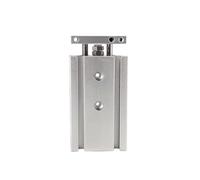 Cilindro pneumatico a doppio stelo TR10-70X80X90X100S originale | TR10-70X80X90(TR10X30-S)