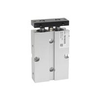 Cilindro pneumatico a due steli a doppio effetto con magnete Cilindro pneumatico TN10X10S TN16X20S TN20X30S TN25X50S 60S TN32X25S TN40 TN50