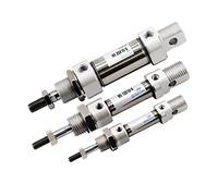 Cilindro pneumatico ad aria Cilindro pneumatico MI10/12/16/20/25-25-10 * 25x30x50x75-S-CA Piccolo cilindro pneumatico mini in acciaio inossidabile a doppia recitazione(Stroke 20mm,Bore 16mm)
