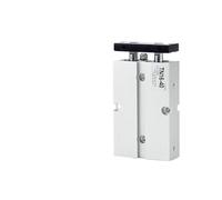 Cilindro pneumatico piccolo ad alta spinta a doppio albero e doppio stelo TDA/TN10*10X20-30-40-50-60-75-80-S(TN10*20-S)