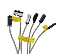 Cilindro pneumatico pneumatico CS1-J Sensore interruttore reed magnetico CS1-G CS1-M CS1-U CS1-F D-A93 D-Z73 D-A73 D-C73 Elettrovalvola interruttore(CS1-U)