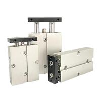 Cilindro pneumatico serie TN Cilindro a doppio stelo Alesaggio TN10 TN16 TN20 TN25 TN32 Corsa 5 mm 10 mm 20 mm 30 mm 40 mm 50 mm Cilindro pneumatico(Stroke 75mm)