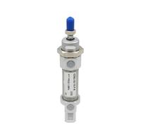 Cilindro pneumatico tondo mini in acciaio inox DSNU40 DSNU-40-125-PA DSNU40-25-PPV-A DSNU-40-50-PA(DSNU-40-75)