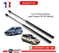 Cilindro Portellone Cofano Nuovo Pinze per 307 SW 307 Break