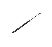 Cilindro Portellone Cofano per Laguna III 844310002R 844304692R 844300004R
