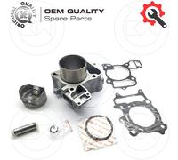 CILINDRO RBMAX KIT COMPLETO TIPO ORIGINALE PER HONDA SH 300 A I ABS 2008