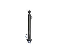 Cilindro ribaltabile, cabina DT Spare Parts 1.23008