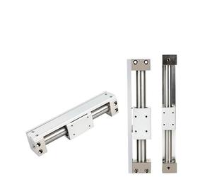 Cilindro senza stelo con giunto magnetico, tipo a montaggio diretto, alesaggio 6 10 15 20 25 32 40 50 63 mm, corsa 50-100-200-300-400-700 mm(Stroke 50 mm,CY3R25)