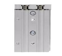 Cilindro senza stelo CY1S15-310Z CY1S15-320Z CY1S15-330Z CY1S15-340Z CY1S15-350Z CY1S15-360Z CY1S15-370Z (CY1S15-370Z)