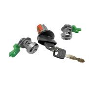 Cilindro Serratura Porta e Interruttore di accensione con Set di Chiavi 703362 per Ford F150 F250 F350 Excursion Expedition 1997-2007