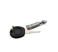 Cilindro serratura portellone posteriore con 2 chiavi compatibile con Transporter T4 1990-2003 Caravelle EuroVan 701829239 701827573 701837061D