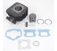 Cilindro Teknix per Scooter Peugeot 50 SV Geo Nuovo